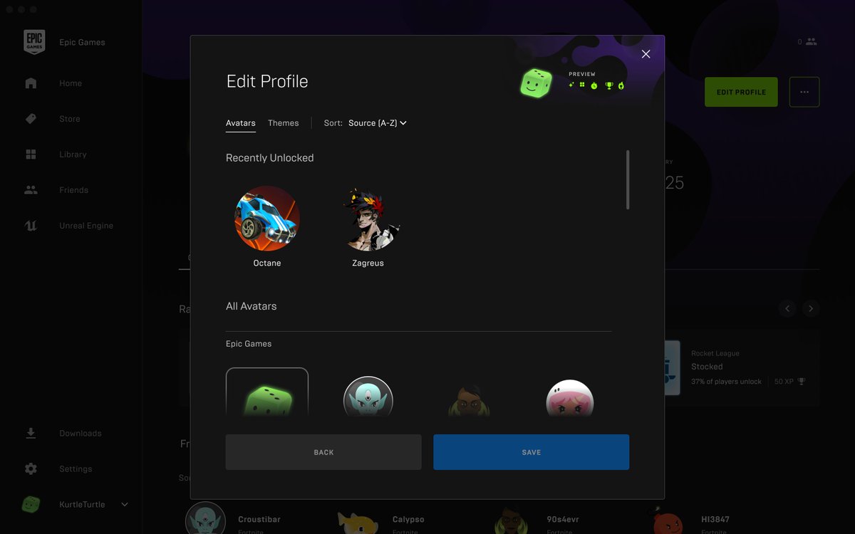 Epic Games profile settings screenshot