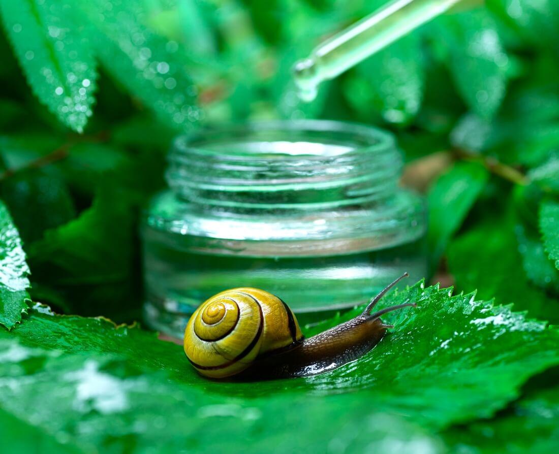 snail mucin scientific research laboratory